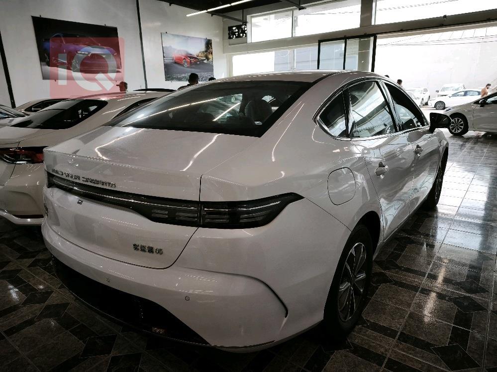 بي واي دي ديستروير 05